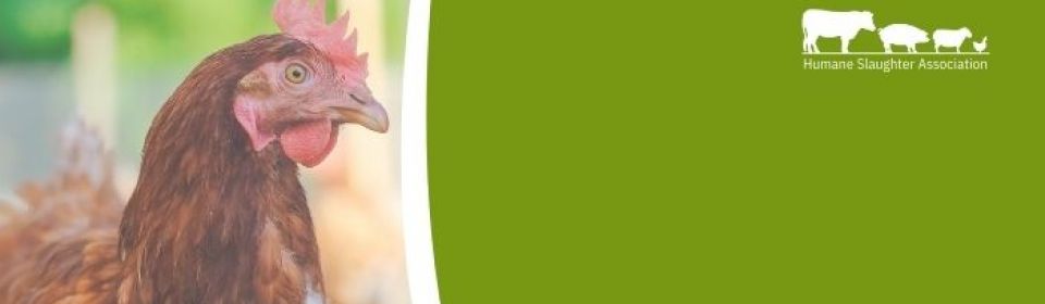 HSA Poultry Course 19 August 2026