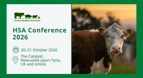 HSA Conference 2026: Join the conversation on animal welfare beyond the farm gate  feature image